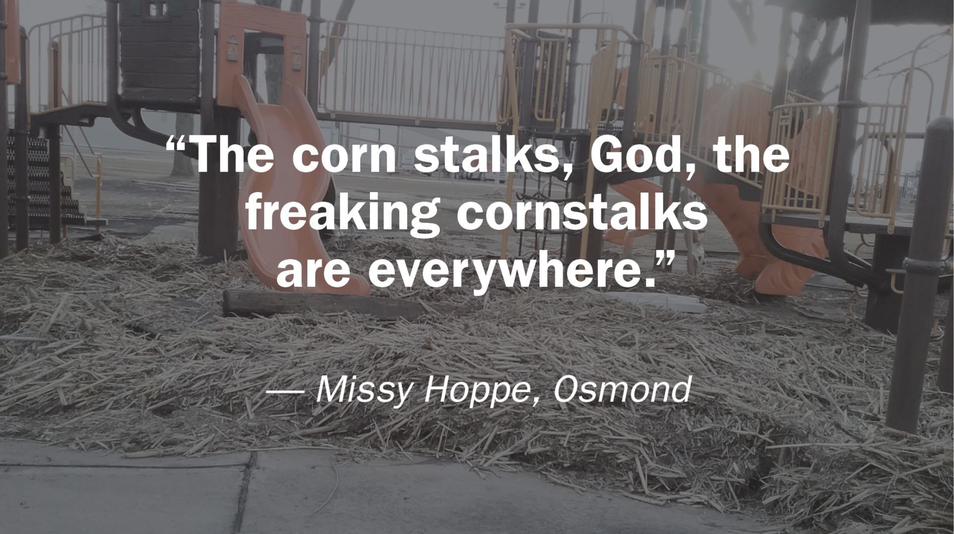 Osmond quote
